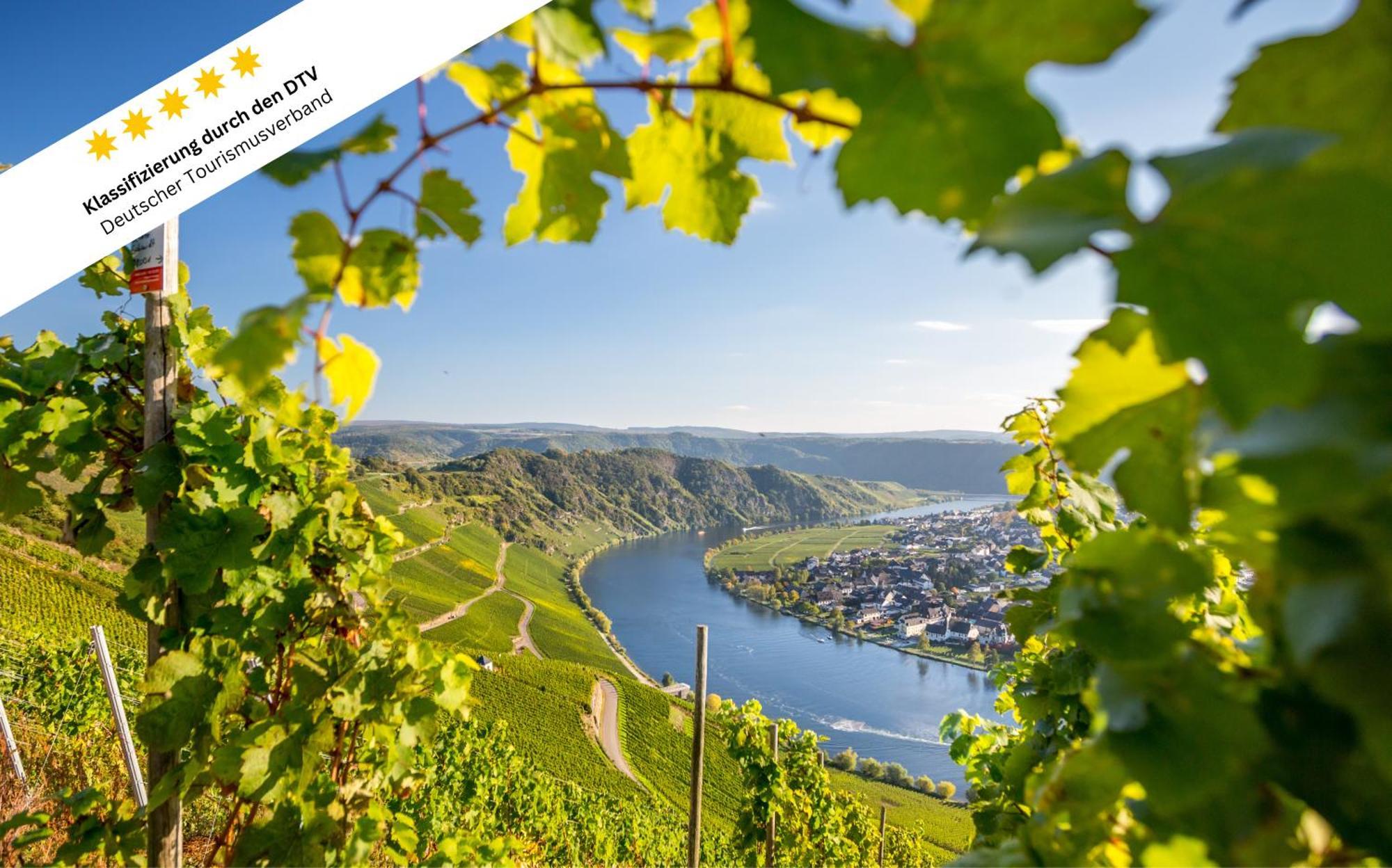 Wohlfuehloase An Der Mosel Apartamento Osann-Monzel Exterior foto